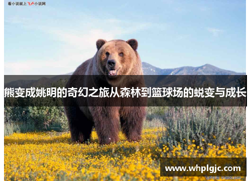 熊变成姚明的奇幻之旅从森林到篮球场的蜕变与成长